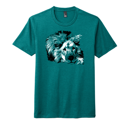 Lion - Unisex Tee