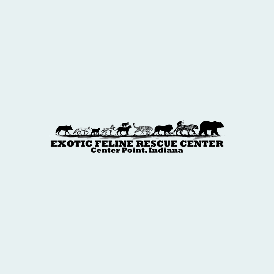 Conservation Partners – Animals Anonymous Apparel