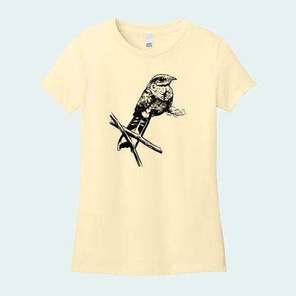 Night Jar (Limited Edition for October) Women's Tee