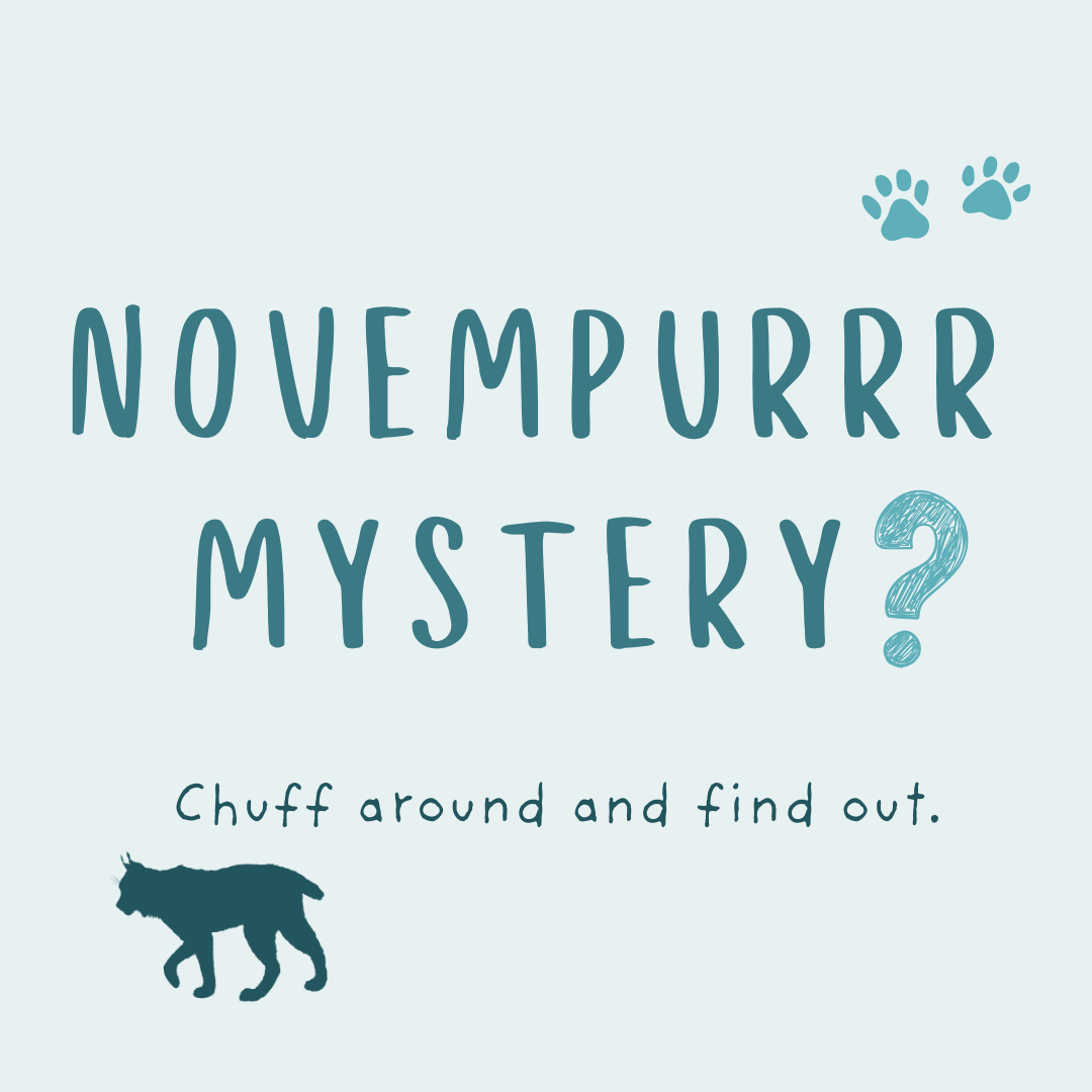 Novempurrr Mystery (Limited Edition)