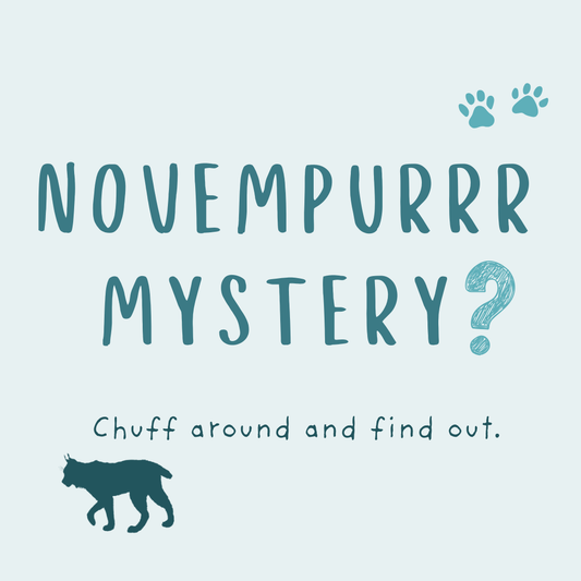 Novempurrr Mystery (Limited Edition)