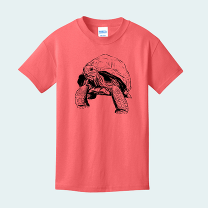 Aldabra Tortoise (Limited Edition for September) YOUTH Tee