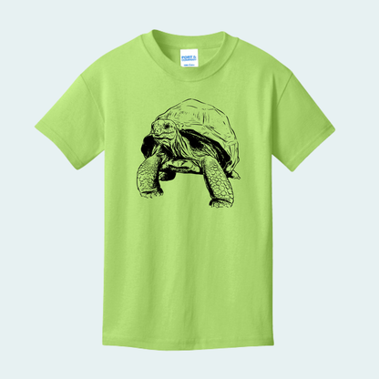 Aldabra Tortoise (Limited Edition for September) YOUTH Tee