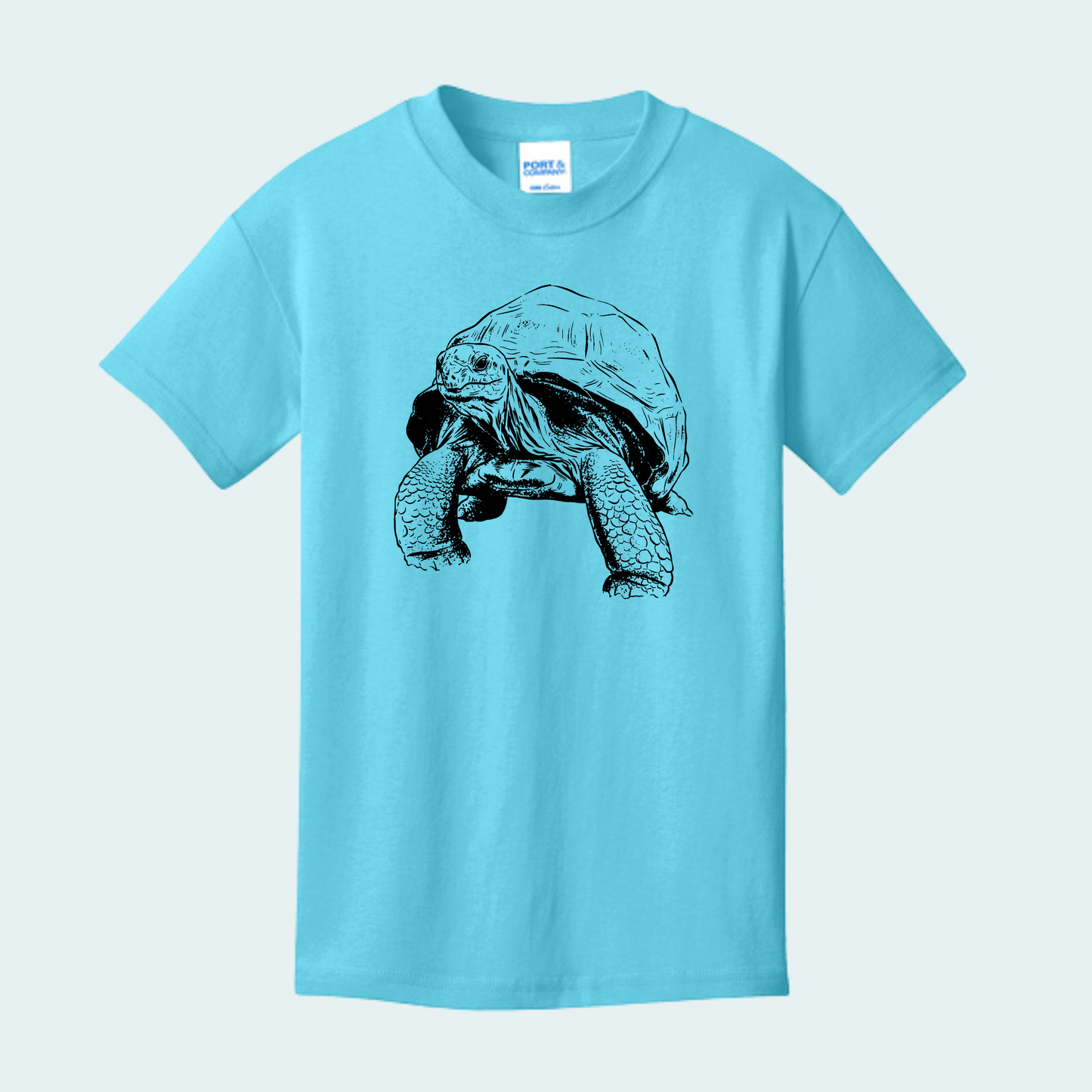 Aldabra Tortoise (Limited Edition for September) YOUTH Tee