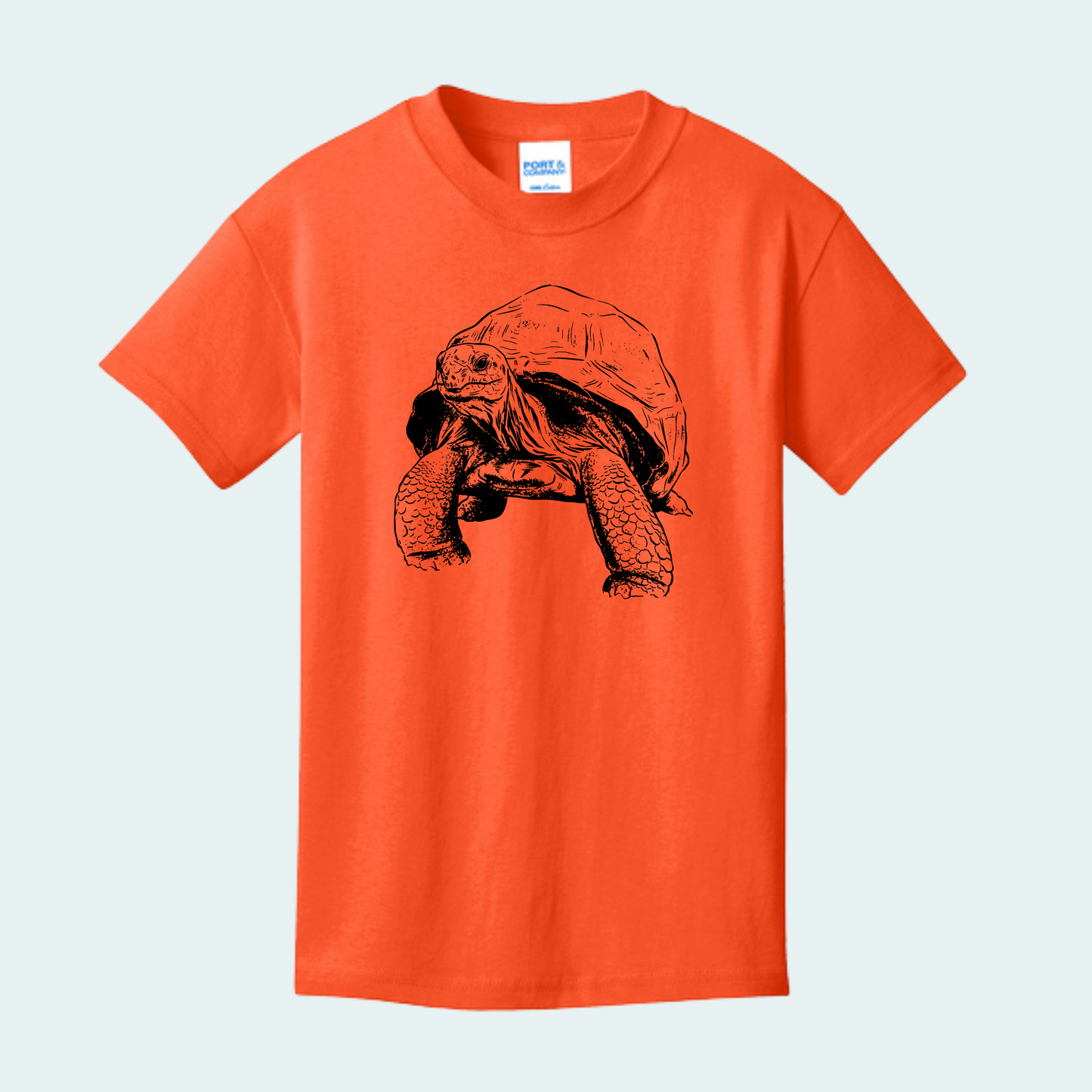 Aldabra Tortoise (Limited Edition for September) YOUTH Tee