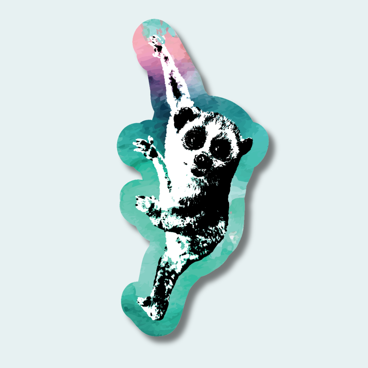 Pygmy Slow Loris - 4in Sticker