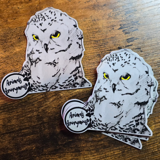 Snowy Owl Sketch - Sticker