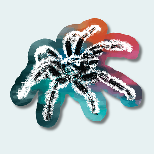 Tarantula (Limited Edition for December) 4in Sticker