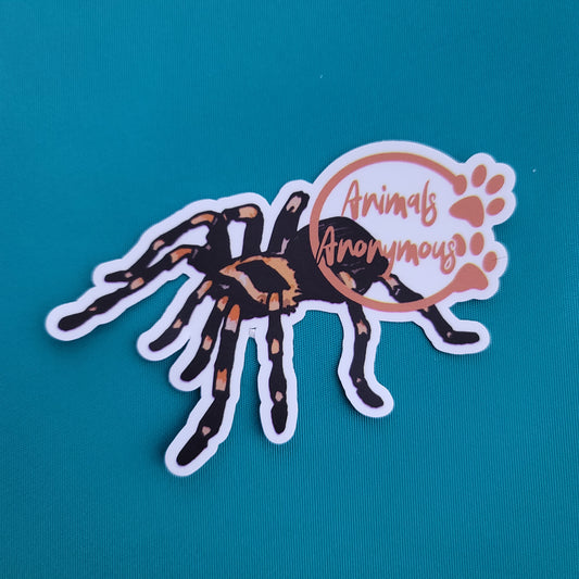 Tarantula Sketch - Sticker - Animals Anonymous Apparel