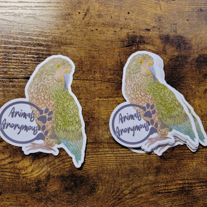 Kea Sketch - Sticker