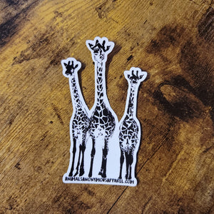 3 Giraffes - Sticker