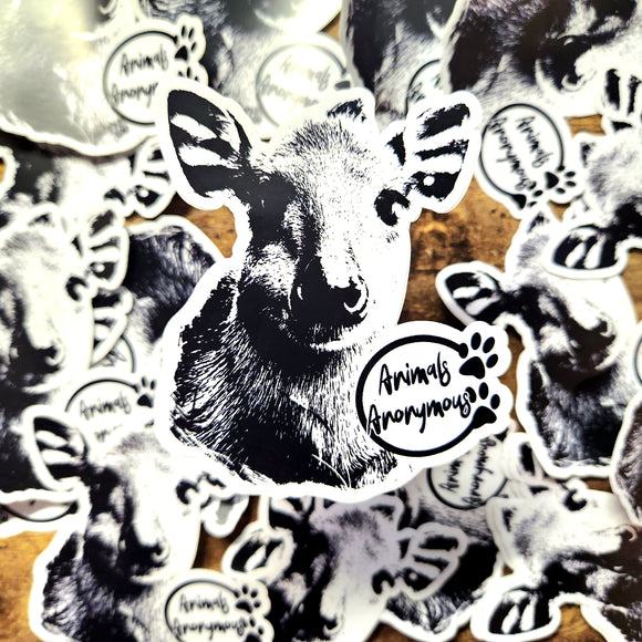 Red-flanked duiker - Sticker