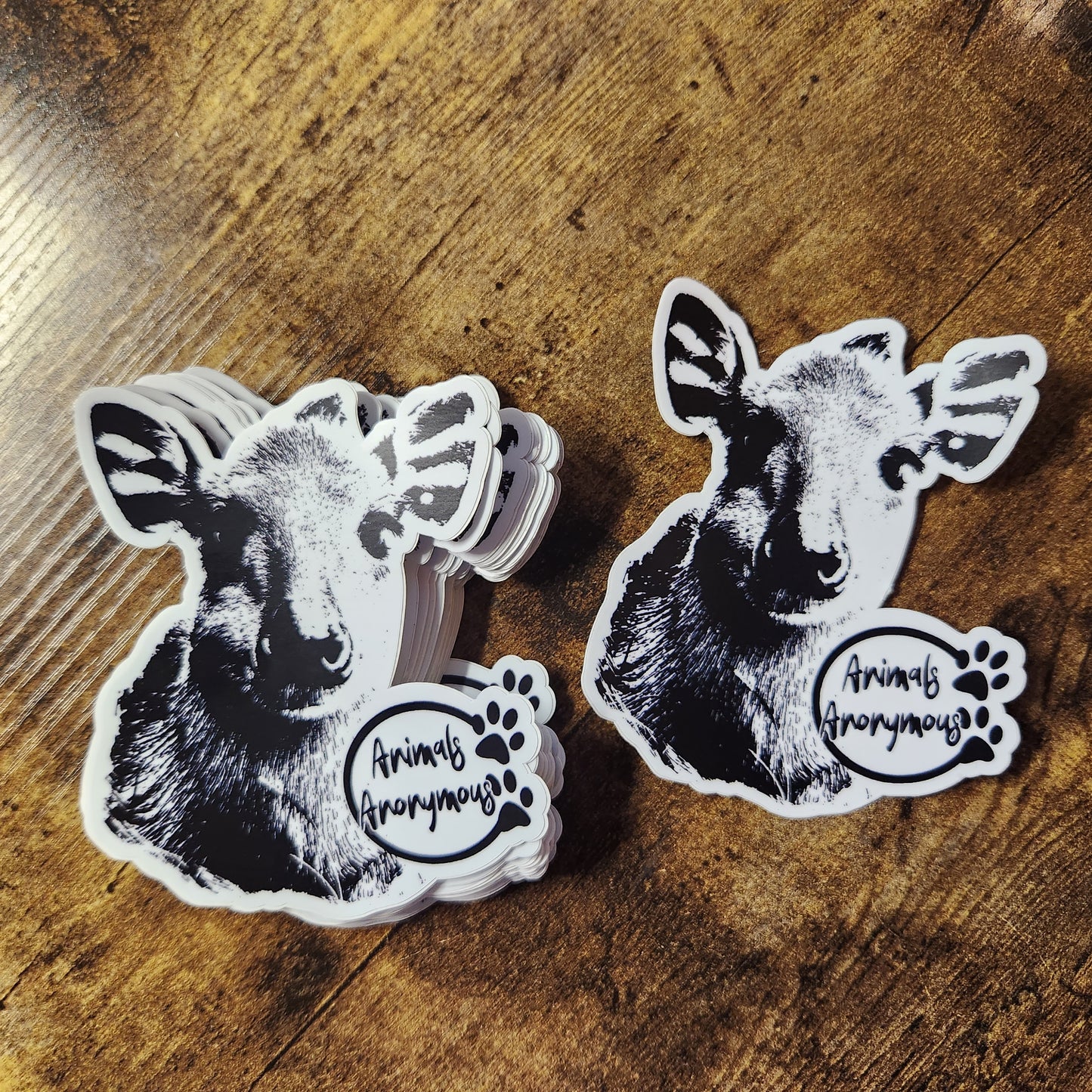 Red-flanked duiker - Sticker