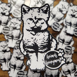 Sand Cat - Sticker