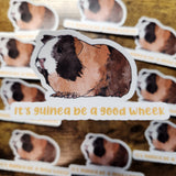 It's Guinea be a good Wheek Sketch - Sticker