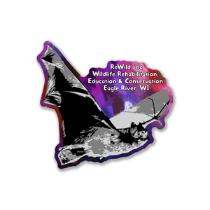 Indiana Bat Fundraiser - Sticker (Pre order)