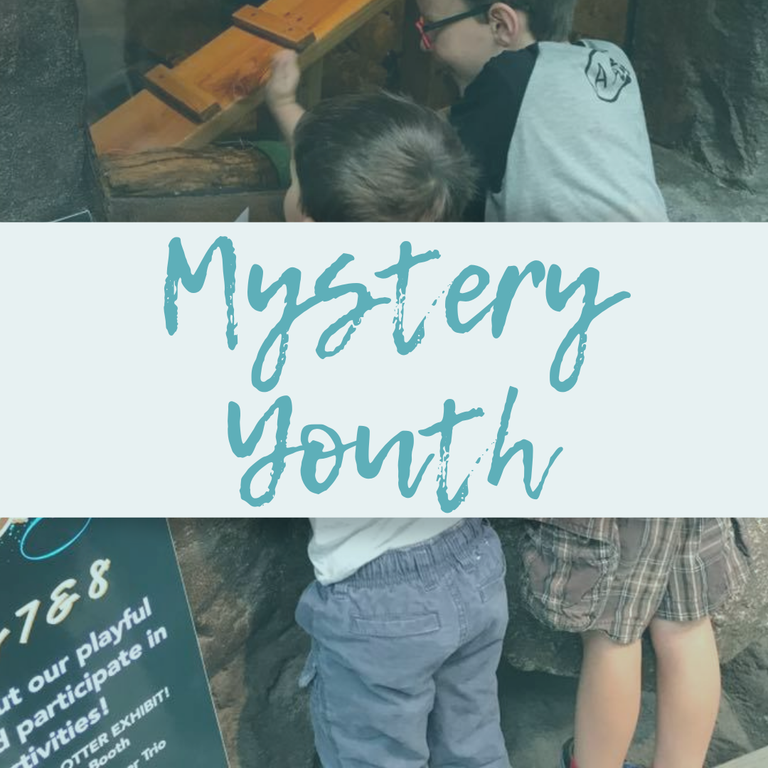 Youth Mystery
