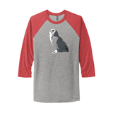 Snowy Owl Fundraiser - Unisex Raglan (Pre order)