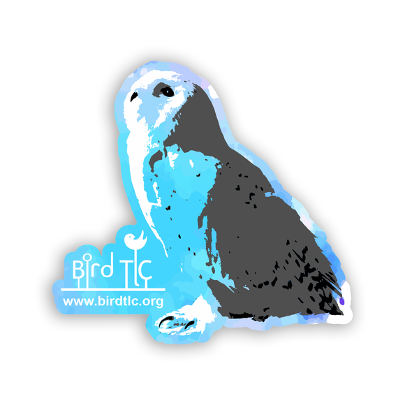 Snowy Owl Fundraiser - Sticker (Pre order)