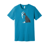 Snowy Owl Fundraiser - Unisex Tee (Pre order)
