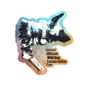 Kalahari African Wild Dog Conservation Trust Fundraiser - Sticker (Pre order)