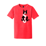 Ohio Alleycat Resource Fundraiser - Youth Tee (Pre order)