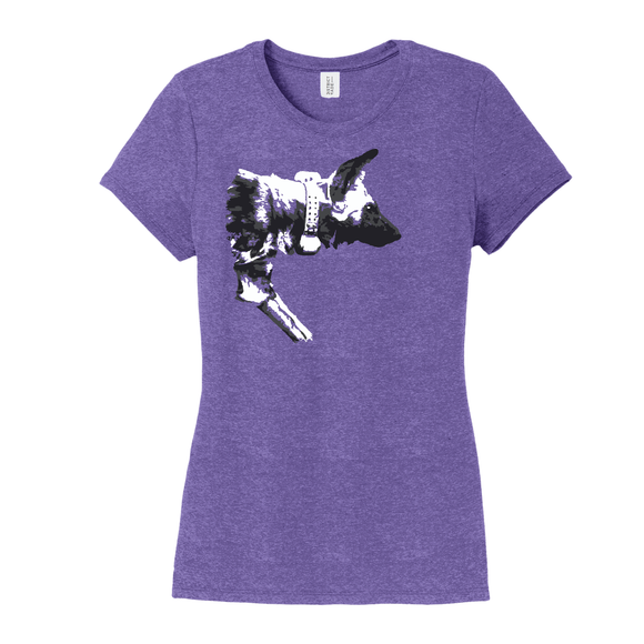 Kalahari African Wild Dog Conservation Trust Fundraiser - Women's Tee (Pre order)